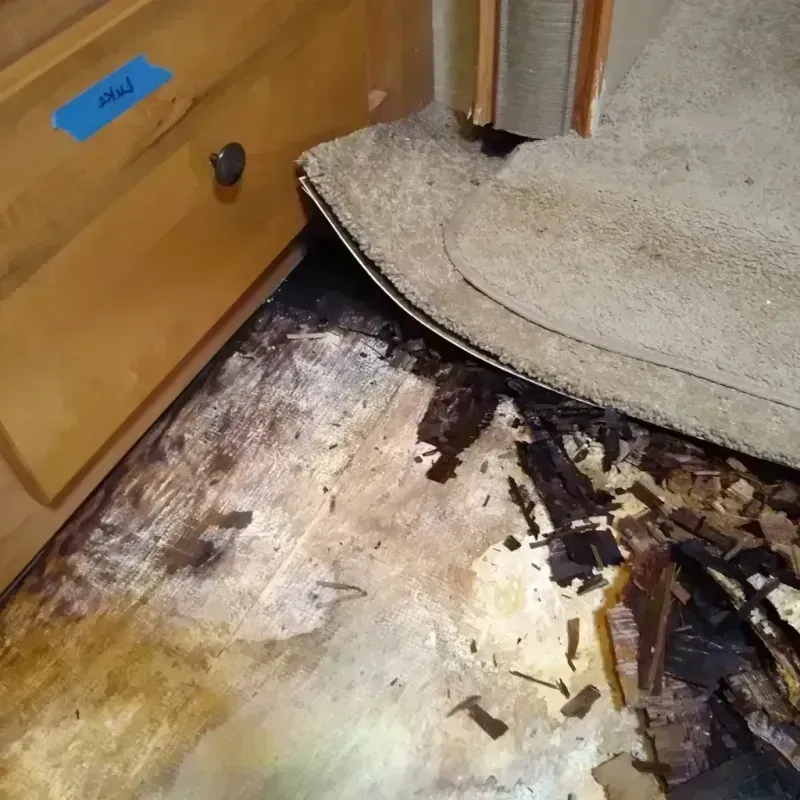 Wood Floor Water Damage in McCord, OK